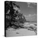 Shoreline at Bikini Atoll on Day of Atomic Bomb Test-Bob Landry-Premier Image Canvas