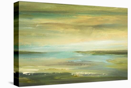 Shoreline II-Sheila Finch-Stretched Canvas