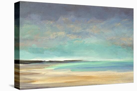 Shoreline IV-Sheila Finch-Stretched Canvas