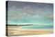 Shoreline IV-Sheila Finch-Stretched Canvas