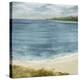 Shoreline Meander-Paul Duncan-Stretched Canvas