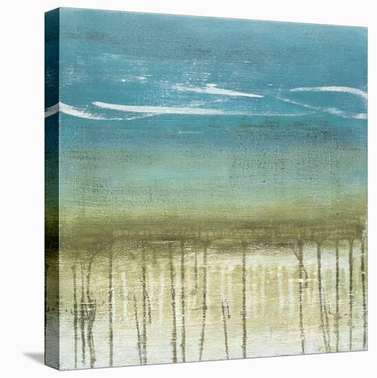 Shoreline Memories II-Heather Mcalpine-Stretched Canvas