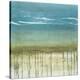 Shoreline Memories II-Heather Mcalpine-Stretched Canvas