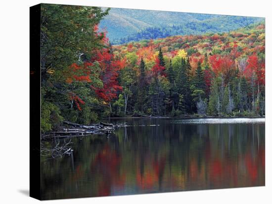 Shoreline of Heart Lake, Adirondack Park and Preserve, New York, USA-Charles Gurche-Premier Image Canvas