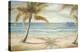 Shoreline Palms II-Marc Lucien-Stretched Canvas