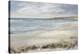 Shoreline Serenity-Paul Duncan-Stretched Canvas