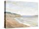 Shoreline Study I-Tim OToole-Stretched Canvas