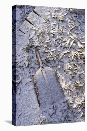 Shovel Buried under Leaves in the Snow-Natalie Tepper-Stretched Canvas