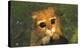 Shrek: Kitty Eyes-null-Stretched Canvas