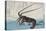 Shrimp and Lobster-Ando Hiroshige-Premier Image Canvas