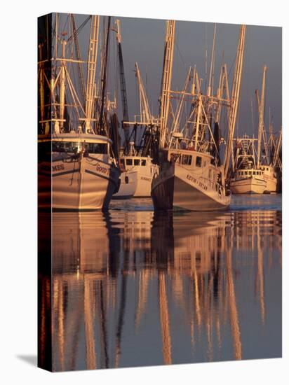 Shrimp Boats Tied to Dock, Darien, Georgia, USA-Joanne Wells-Premier Image Canvas