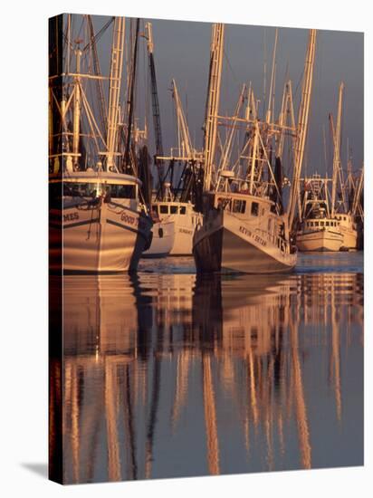 Shrimp Boats Tied to Dock, Darien, Georgia, USA-Joanne Wells-Premier Image Canvas