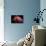 Shy-Ilias Nikoloulis-Premier Image Canvas displayed on a wall