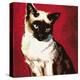 Siamese Cat-McConnell-Premier Image Canvas