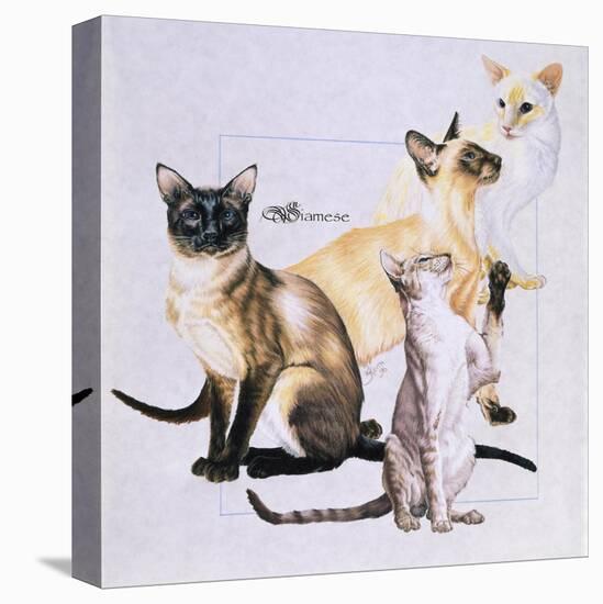 Siamese-Barbara Keith-Premier Image Canvas