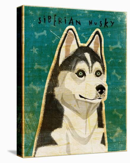 Siberian Husky-John W Golden-Stretched Canvas