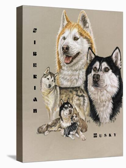 Siberian Husky-Barbara Keith-Premier Image Canvas
