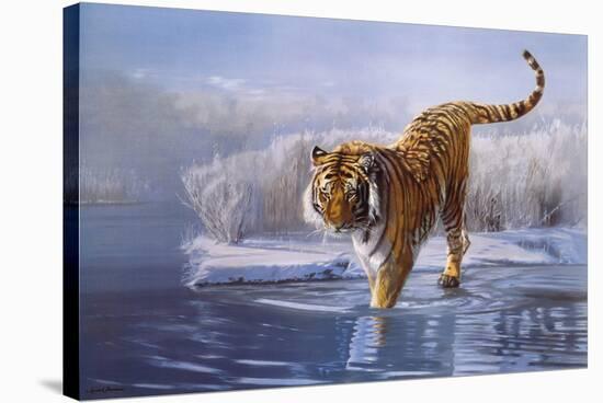 Siberian Tiger-Leonard Pearman-Stretched Canvas