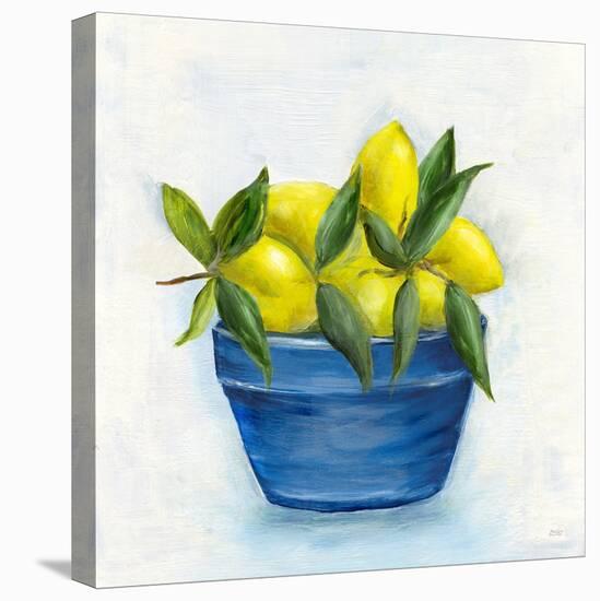 Sicilian Lemons II-Marilyn Dunlap-Stretched Canvas