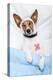 Sick Dog with Bandages Lying on Bed-Javier Brosch-Premier Image Canvas