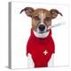 Sick Dog-Javier Brosch-Premier Image Canvas