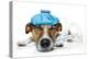 Sick Dog-Javier Brosch-Premier Image Canvas