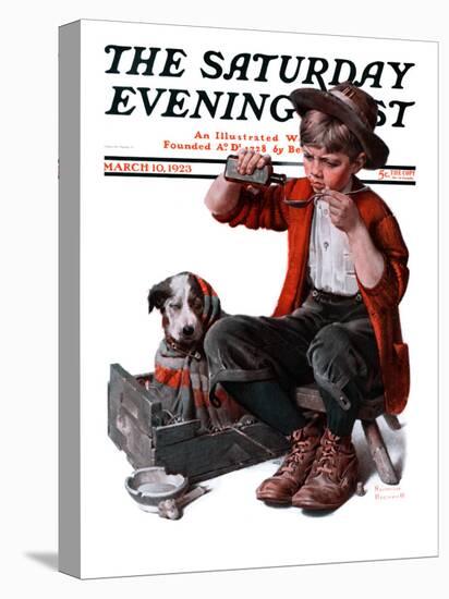 "Sick Puppy" Saturday Evening Post Cover, March 10,1923-Norman Rockwell-Premier Image Canvas
