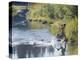 Side Profile of a View of a Young Man Running Across a River-null-Premier Image Canvas