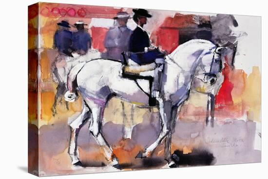 Side-Saddle at the Feria De Sevilla, 1998-Mark Adlington-Premier Image Canvas