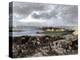 Siege of Charleston, South Carolina, by the British during the American Revolution-null-Premier Image Canvas