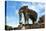 Siem Reap, Cambodia. Stone sculpture of an elephant at the temple complex of Pre Rup-Miva Stock-Premier Image Canvas