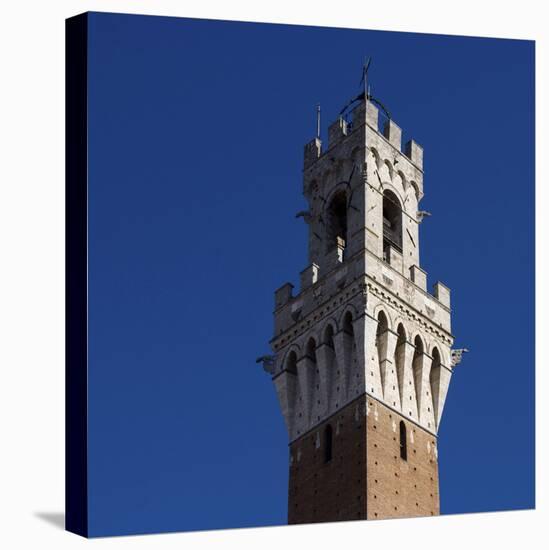 Siena Architectural Detail of Crenellated Tower-Mike Burton-Premier Image Canvas