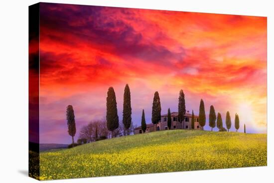 Siena lands-Marco Carmassi-Premier Image Canvas