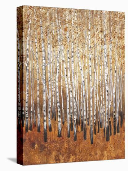 Sienna Birches I-Tim OToole-Stretched Canvas