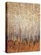 Sienna Birches I-Tim OToole-Stretched Canvas