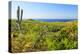 Sierra de la Laguna Canyon, near Los Cabos, Baja California, Mexico. Cardon cactus.-Stuart Westmorland-Premier Image Canvas