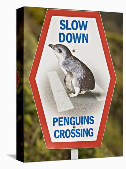 Sign Warning Drivers About Penguins in the Road, Wellington, North Island, New Zealand-Don Smith-Premier Image Canvas