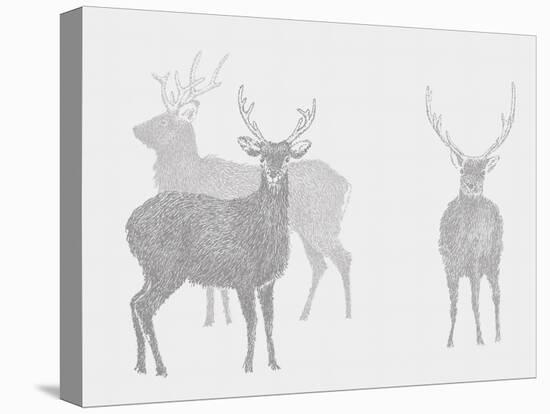 Sika Deer  2017  (digital)-Sarah Hough-Premier Image Canvas