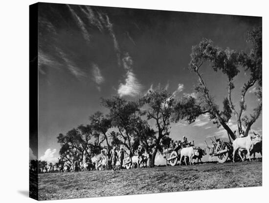 Sikhs Migrating to Hindu Section of Punjab After the Partitioning of India-Margaret Bourke-White-Premier Image Canvas