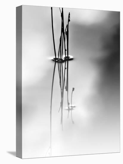Silence-Ursula Abresch-Premier Image Canvas