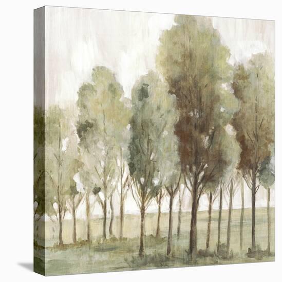 Silent Fall II-Eva Watts-Stretched Canvas