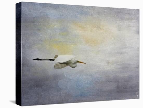 Silent Flight Great White Egret-Jai Johnson-Premier Image Canvas