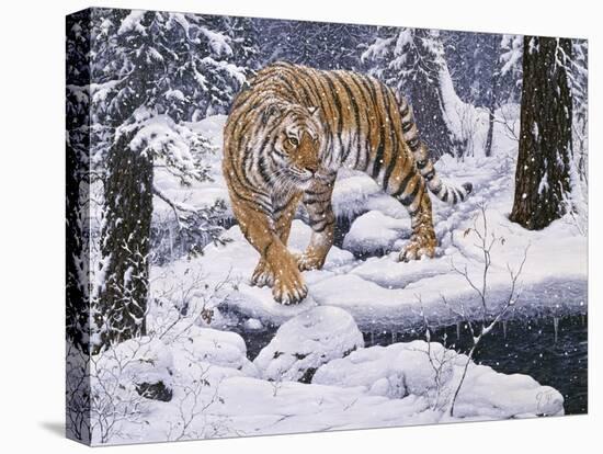 Silent Hunter- Siberian Tiger-Jeff Tift-Premier Image Canvas