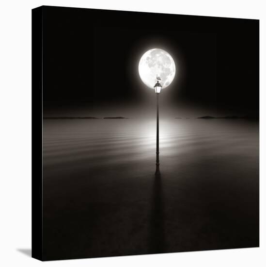 Silent Night-Luis Beltran-Premier Image Canvas