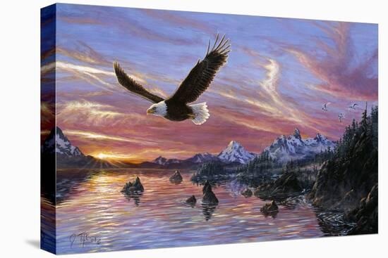 Silent Wings of Freedom-Jeff Tift-Premier Image Canvas