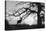 Silhouette 2-Gordon Semmens-Premier Image Canvas