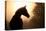 Silhouette Of A Beautiful Arabian Horse Against Sun Shining Through Heavy Fog, In Sepia Tone-Sari ONeal-Premier Image Canvas