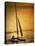 Silhouette of a Sailboat in the Sea-null-Premier Image Canvas