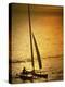 Silhouette of a Sailboat in the Sea-null-Premier Image Canvas