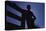 Silhouette of Boy Leaning Against Fence-William P. Gottlieb-Premier Image Canvas